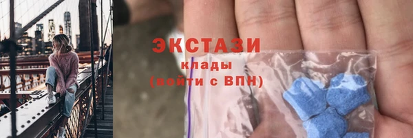 spice Богородск
