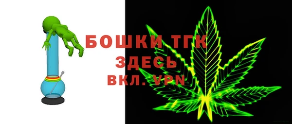 spice Богородск