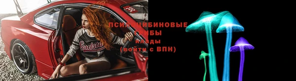 прущая мука Богородицк
