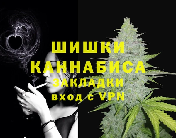 spice Богородск