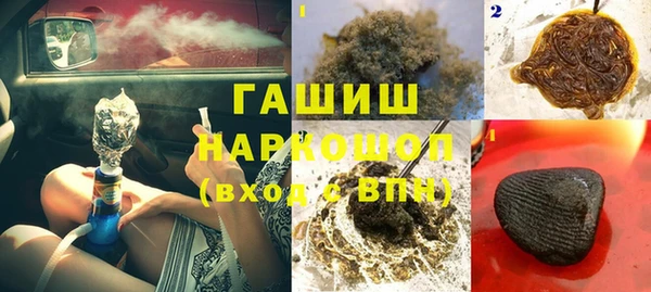 spice Богородск