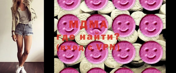 spice Богородск