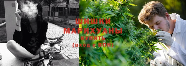 spice Богородск