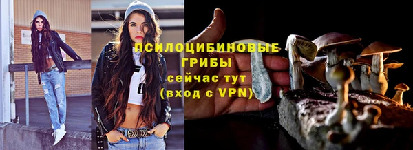 мяу мяу кристалл Богданович