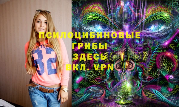 мяу мяу кристалл Богданович