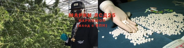 мяу мяу кристалл Богданович