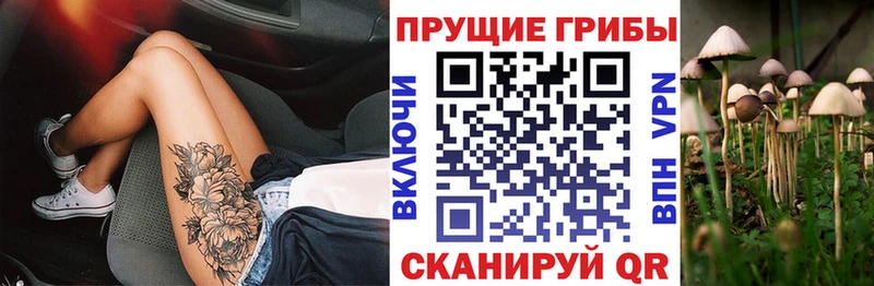 Галлюциногенные грибы GOLDEN TEACHER Дальнегорск