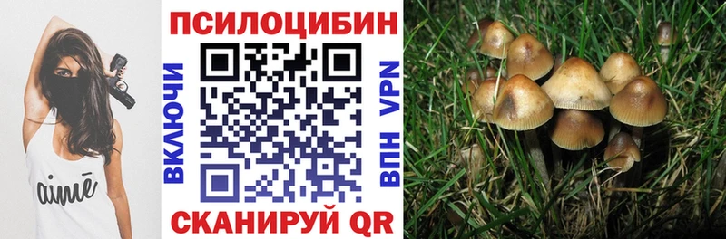 Купить где  Дальнегорск  Псилоцибиновые грибы Psilocybe 